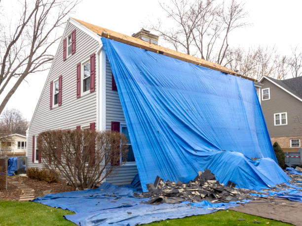 Best Carpet Removal and Disposal  in Northport, NY
